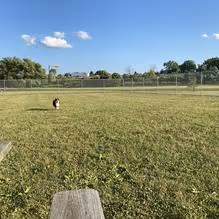Grange Park Dog Park photo 1
